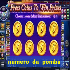 numero da pomba jogo do bicho